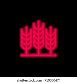 Wheat red glowing neon ui ux icon. Glowing sign logo vector