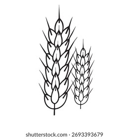 Wheat rhyme vector icon in white background.