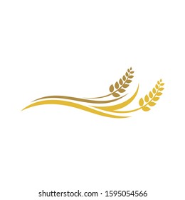 Wheat rice agriculture logo, Wheat grain, Wheat Nutrition, Wheat rice agriculture logo Inspiration vector