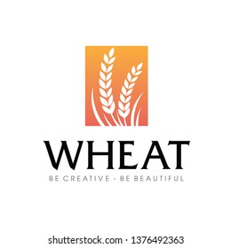 Wheat rice agriculture logo Inspiration vector