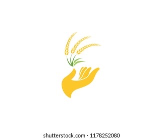 Wheat rice agriculture logo vector template