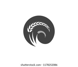Wheat rice agriculture logo vector template
