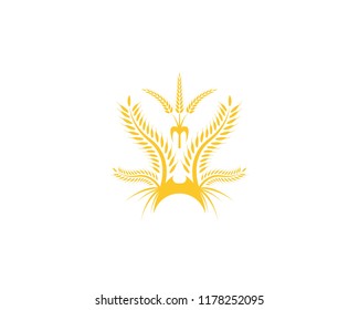 Wheat rice agriculture logo vector template