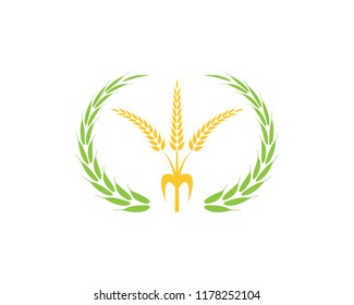 Wheat rice agriculture logo vector template