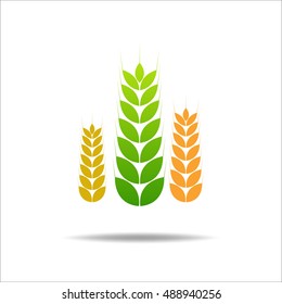 Wheat rice icon. Crop, barley or rye symbol isolated on white background.