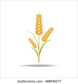 Wheat rice icon. Crop, barley or rye symbol isolated on white background.