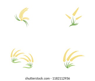 Wheat rice icon logo vector template