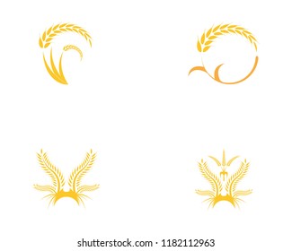 Wheat rice icon logo vector template