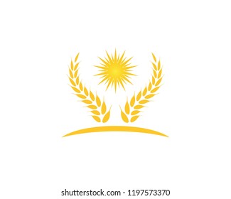 Wheat rice icon logo vector