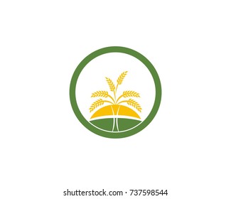 Wheat rice logo design template