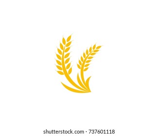 Wheat rice logo design template