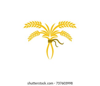 Wheat rice logo design template