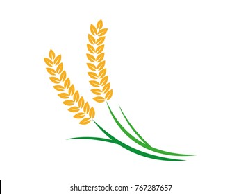 wheat rice  seed logo template