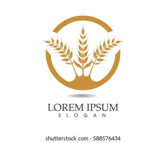 Wheat rice/oat food logo