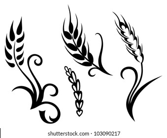 Wheat   rye