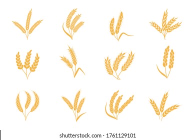 Wheat and rye ears. Harvest stalk grain spike icon. Gold elements for organic food logo, bread packaging or beer label. Isolated vector silhouette icons set