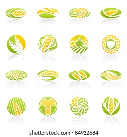 Wheat and rye. Elements for design. Icon set.