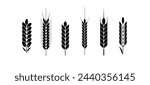 Wheat and rye logo ears. Barley rice grains and elements for beer or organic agricultural food. Vector
