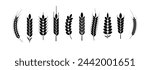 Wheat and rye logo ears. Barley rice grains and elements for beer or organic agricultural food. Vector