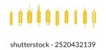 Wheat and rye logo ears. Barley rice grains and elements for beer or organic agricultural food. Vector