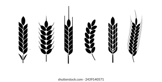 Wheat and rye logo ears. Barley rice grains and elements for beer or organic agricultural food. Vector