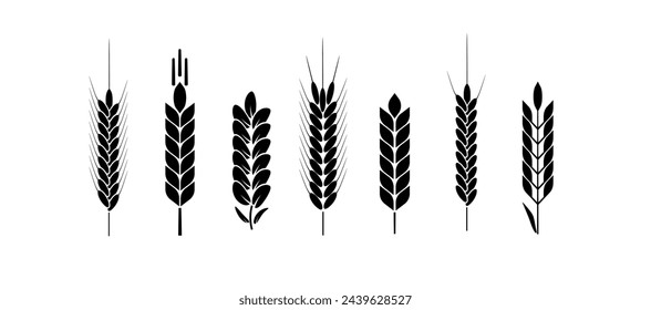 Orejas con logo de trigo y centeno. Granos de arroz de cebada y elementos para cerveza o alimentos agrícolas ecológicos. Vector