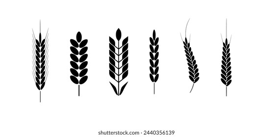 Wheat and rye logo ears. Barley rice grains and elements for beer or organic agricultural food. Vector