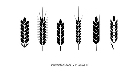 Wheat and rye logo ears. Barley rice grains and elements for beer or organic agricultural food. Vector