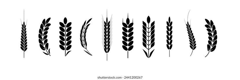 Wheat and rye logo ears. Barley rice grains and elements for beer or organic agricultural food. Vector