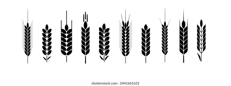 Wheat and rye logo ears. Barley rice grains and elements for beer or organic agricultural food. Vector