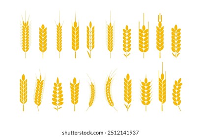 Orejas con logo de trigo y centeno. Granos de arroz de cebada y Elementos para cerveza o alimentos agrícolas orgánicos. Vector