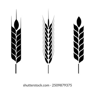 Wheat and rye logo ears vector illustration, organic agricultural food plants clipart isolated, Barley rice grains and beer elements icon vector. rice plant icon, agricultural logo clipart.