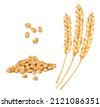grains wheat