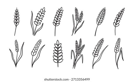 wheat and rye ripe doodle hand drawn icon set. Outline drawing wheat and rye ripe line clipart symbol collection. Vector illustration