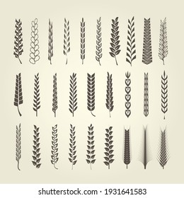 Wheat and rye spikelet collection in different style, heraldic design elements for emblems and blazons, vector