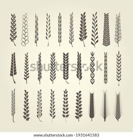 Wheat and rye spikelet collection in different style, heraldic design elements for emblems and blazons, vector