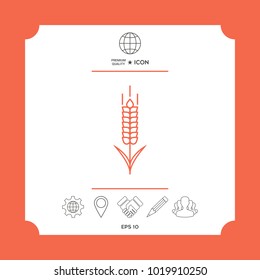 Wheat or rye spikelet icon