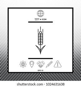 Wheat or rye spikelet icon