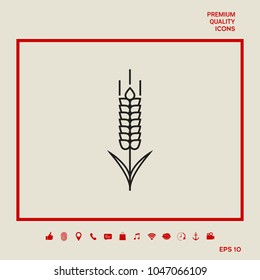 Wheat or rye spikelet icon