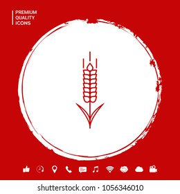 Wheat or rye spikelet icon