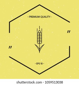 Wheat or rye spikelet icon