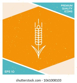 Wheat or rye spikelet icon
