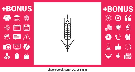Wheat or rye spikelet icon
