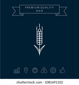 Wheat or rye spikelet icon
