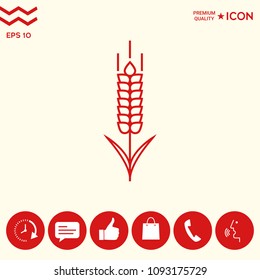 Wheat or rye spikelet icon