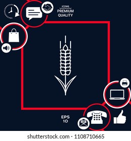 Wheat or rye spikelet icon