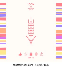 Wheat or rye spikelet icon