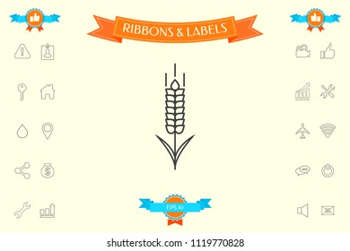 Wheat or rye spikelet icon