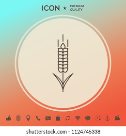 Wheat or rye spikelet icon