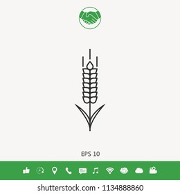 Wheat or rye spikelet icon